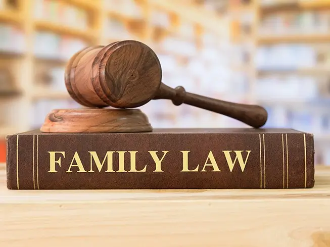 Figueroa law group family law image
